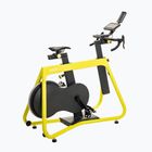 Indoor Cycle KETTLER Hoi Frame+ shock