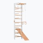 RINAGYM SPR B+SLIDE Gymnastikleiter