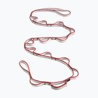 Klettertape Black Diamond Dynex Daisy 12 mm red