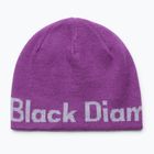 Wintermütze Black Diamond Reversible Beanie piton purple/alloy