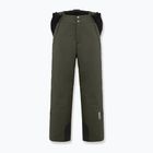 Herren Colmar Sapporo-Rec Skihose waldgrün