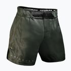 Herren-Trainingsshorts Hayabusa Apex Fight Mid green