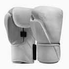 Boxhandschuhe Hayabusa T360 Leather white