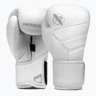 Hayabusa T3 Kanpeki arktische weiße Boxhandschuhe