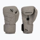 Hayabusa T3 LX Schiefer Boxhandschuhe