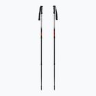 Trekkingstöcke  Fizan Explorer beige/red