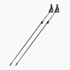 Nordic-Walking-Stöcke Fizan Carbon Pro Impulse grey