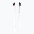 Nordic-Walking-Stöcke Fizan R-Evolution Pro red