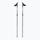 Nordic-Walking-Stöcke Fizan R-Evolution beige