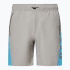 Herren Oakley Training Sidepanel Zement-Shorts