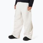 Herren Snowboardhose Oakley Channel Cargo mist