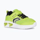 Geox Assister Junior Schuhe limette/schwarz