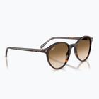 Sonnenbrille Ray-Ban Bernard havana/brown gradient