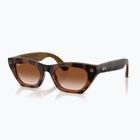 Brille mit Kamera Ray-Ban Meta Zena havana/gradient brown