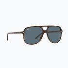 Sonnenbrille Ray-Ban Bill havana/blue