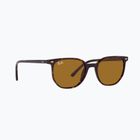 Sonnenbrille Ray-Ban Elliot havana brown/black polarized