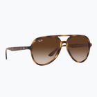 Sonnenbrille Ray-Ban RB4376 havana/brown gradient