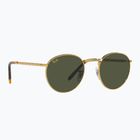 Sonnenbrille Ray-Ban New Round gold/green