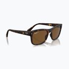 Sonnenbrille Ray-Ban RB4428 havana matte/brown polarized