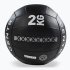 Medizinball CENTR Wall Ball Centr x Hyrox 2 kg black