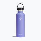 Hydro Flask Standard Flex 620 ml Reiseflasche lupine