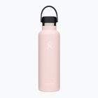 Hydro Flask Standard Flex 620 ml Trillium Reiseflasche