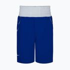 Herren Nike Boxing Shorts royal