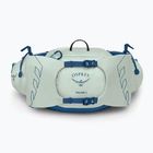 Osprey Talon 6 l mintgrün/Nachtschicht Männer Nierenbeutel