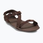 Herren Barfußsandalen Xero Schuhe Z-Trek braun