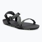 Herren Barfußsandalen Xero Shoes Z-Trail EV vetiver/ grün