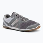 Herren Barfußschuhe Xero Schuhe HFS II grau/weiß