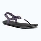 Damen Barfußsandalen Xero Schuhe H-Trail Salbei lila HTW-SGPU