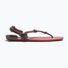 Damen Barfußsandalen Xero Shoes Aqua Cloud moel/sunet coral