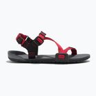 Barefoot Kinderschuhe Xero Z-Trail anthrazit/roter Pfeffer Sandalen