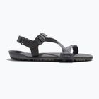 Herren Barfußsandalen Xero Schuhe Z-Trail EV stahlgrau/asphalt