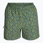 Trekkinghose Herren Herren Royal Robbins All-In algae flash pt