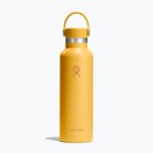 Thermosflasche Hydro Flask Standard Flex 620 ml sunbeam