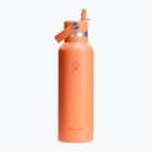 Thermosflasche Hydro Flask Standard Flex Straw 620 ml nectar