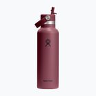 Thermoflasche Hydro Flask Standard Flex 621 ml burgundy