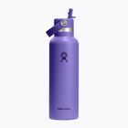Thermoflasche Hydro Flask Standard Flex 621 ml utopia purple