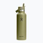 Thermoflasche Hydro Flask Standard Flex 621 ml palmer green