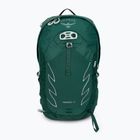 Damen Wanderrucksack Osprey Tempest 20 l jasper grün