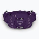 Osprey Tempest 6 l violac lila Frauen Nierenbeutel