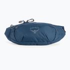Osprey Daylite Waist 2L Hüfttasche navy blau 10003247