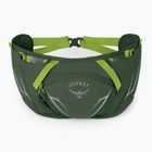 Osprey Duro Dyna 2 l Seetang grün/Limone Nierentasche