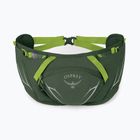 Osprey Duro Dyna 2 l Seetang grün/Limone Nierentasche