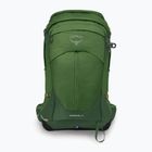 Wander Rucksack Herren Osprey Stratos 24 l seaweed/matcha green