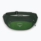 Osprey Daylite Waist 2 l grün bely/grün Canopy Nierentasche