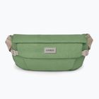 Osprey Arcane Hip 2 l botanica Nierenbeutel