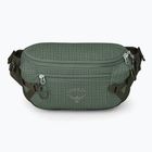 Osprey Transporter Waist Pack 3 l Kiefer Blatt Nierentasche